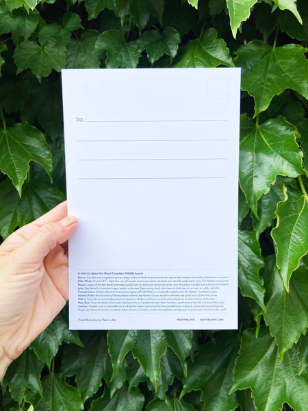 Royal Canadian Wildlife 6x9 Postcard