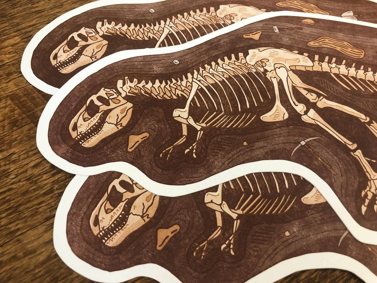 T-Rex Fossils Postcard