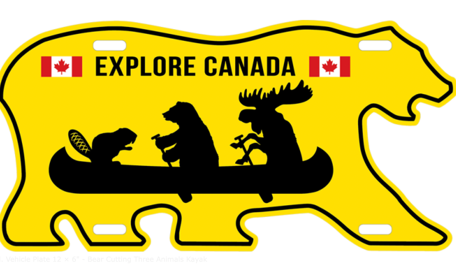 License Plate 12 × 6