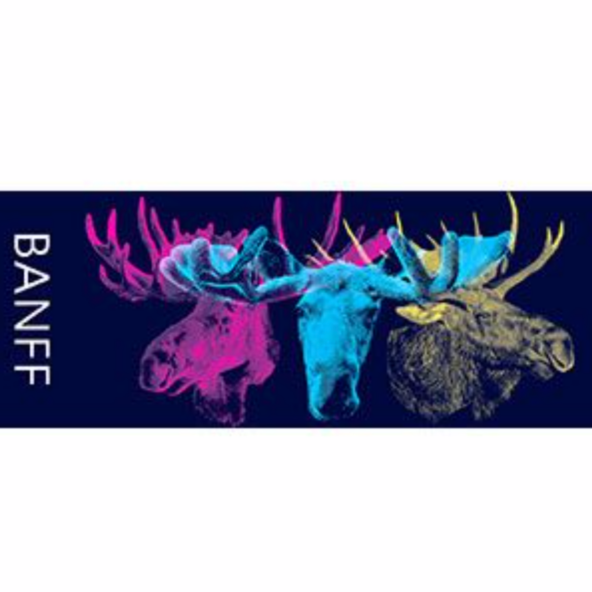 Moose, Quadratone Design, colourful, Banff