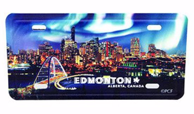 Northern Lights magnet Metal License