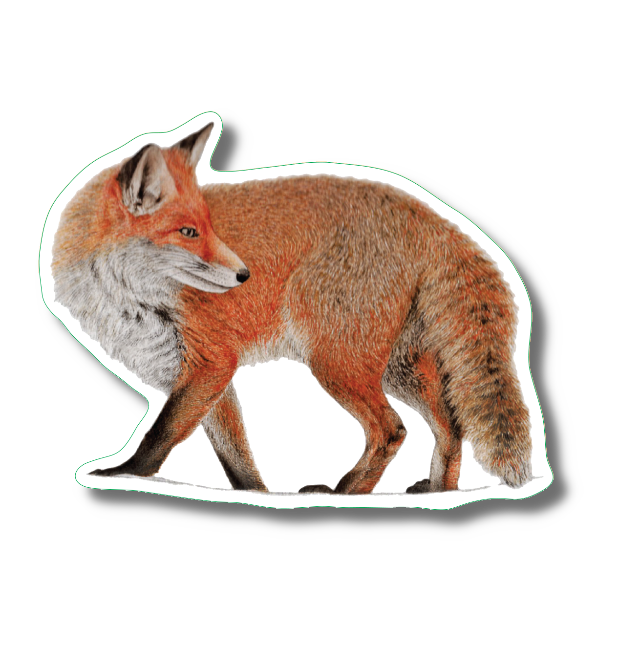 Red Fox Nature Sticker, 3.5" wide