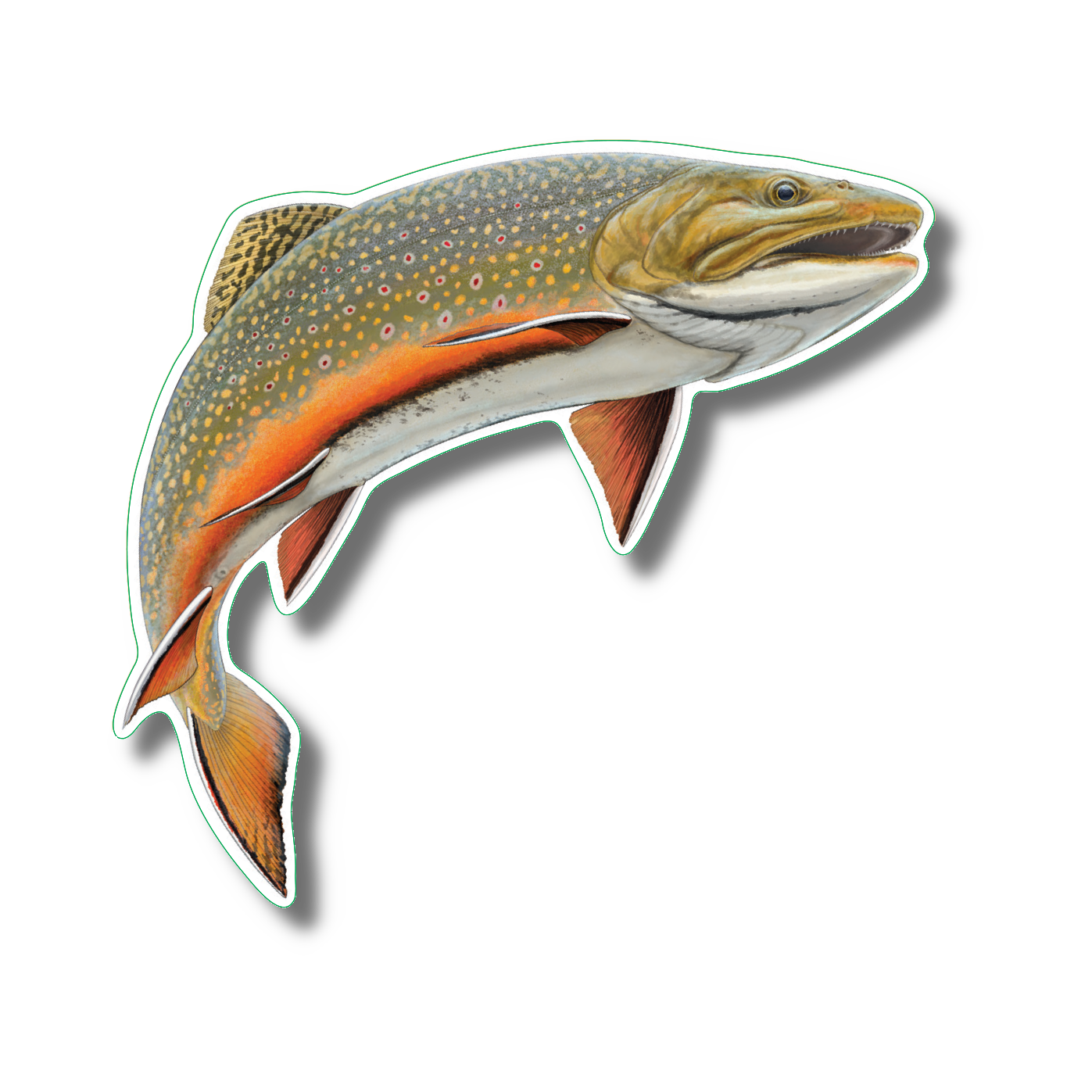 Brook Trout Nature Sticker, 3.5" wide