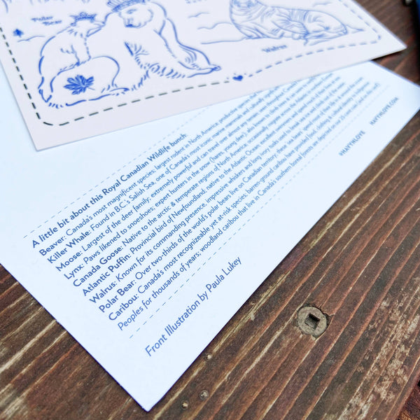 Royal Canadian Wildlife 6x9 Postcard