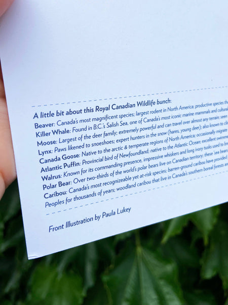 Royal Canadian Wildlife 6x9 Postcard