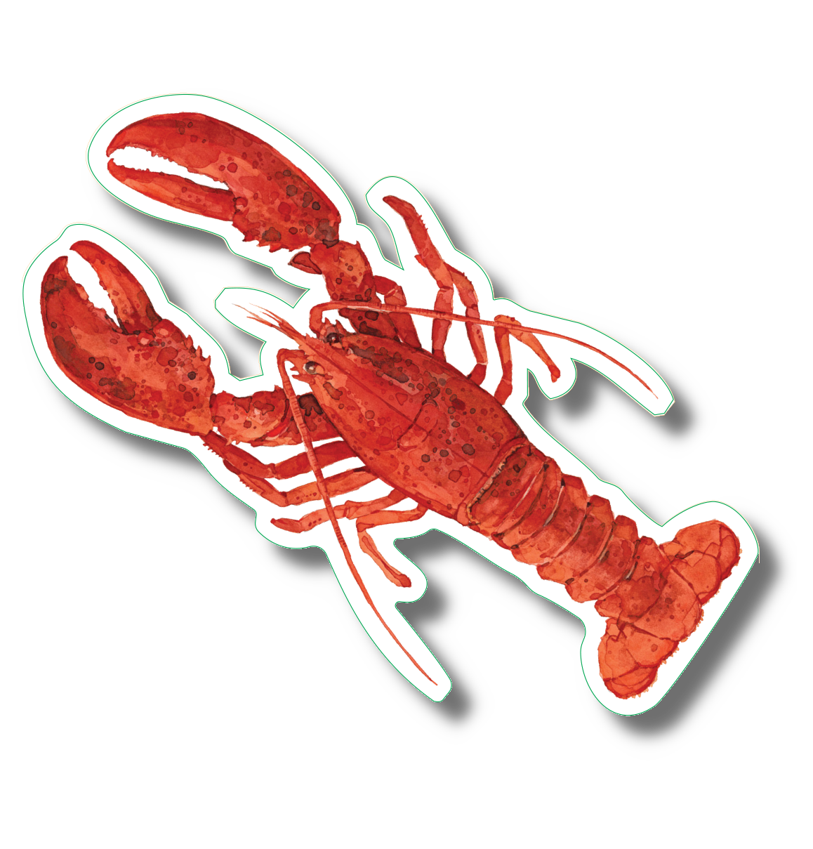 Red Lobster Nature Sticker, 3.5" wide