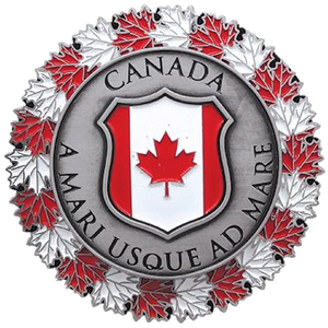 Unique Maple Leaf Shape Design for Fridge Decoration