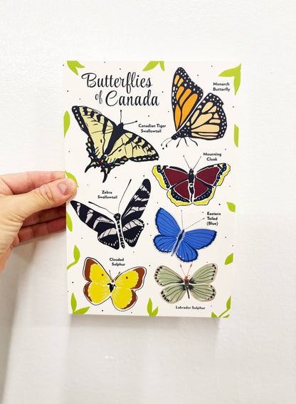 Butterflies of Canada 6x9 Postcard