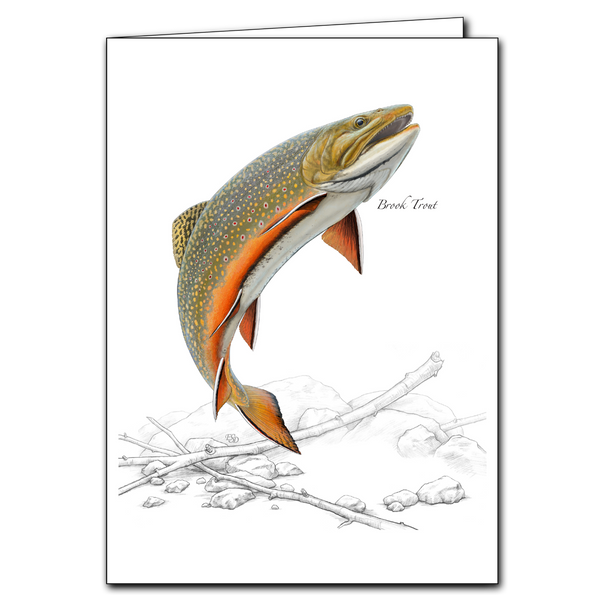 Brook Trout Greeting Card