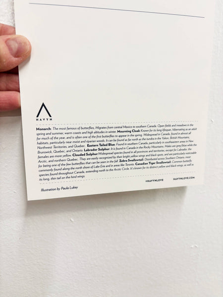 Butterflies of Canada 6x9 Postcard