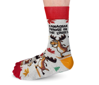 Canadian Moose Socks - M/L (Men)