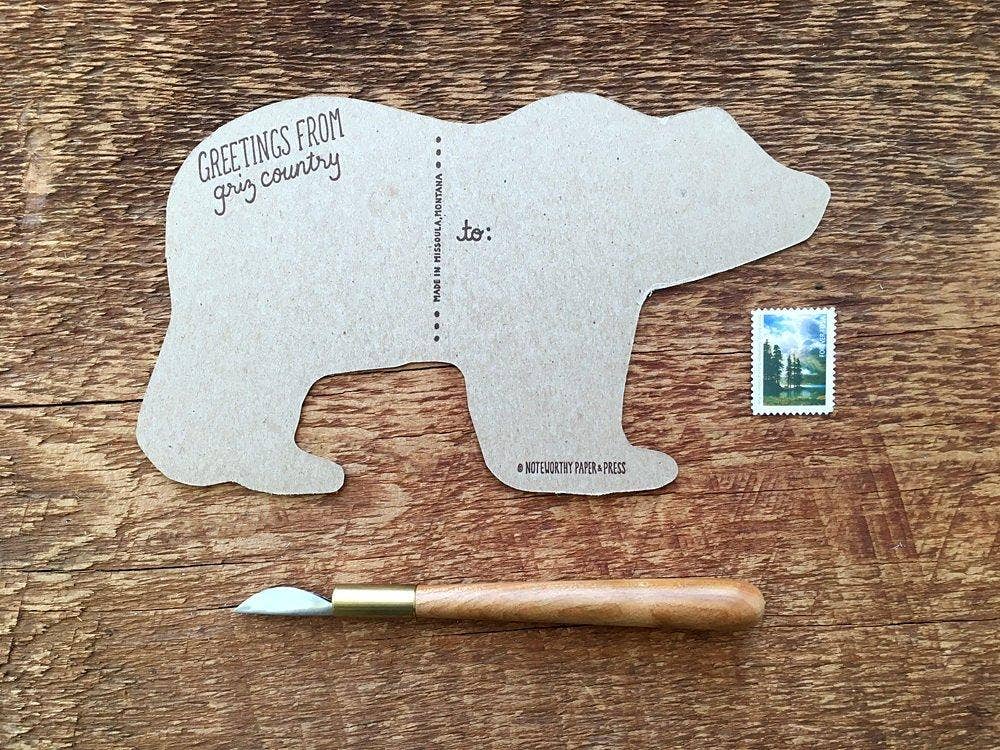 Grizzly Bear Postcard