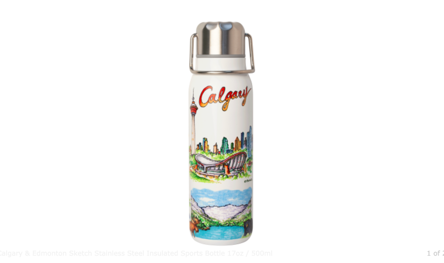 Calgary & Edmonton Sketch Stainless Steel Insulated Sports Bottle 17oz / 500ml
