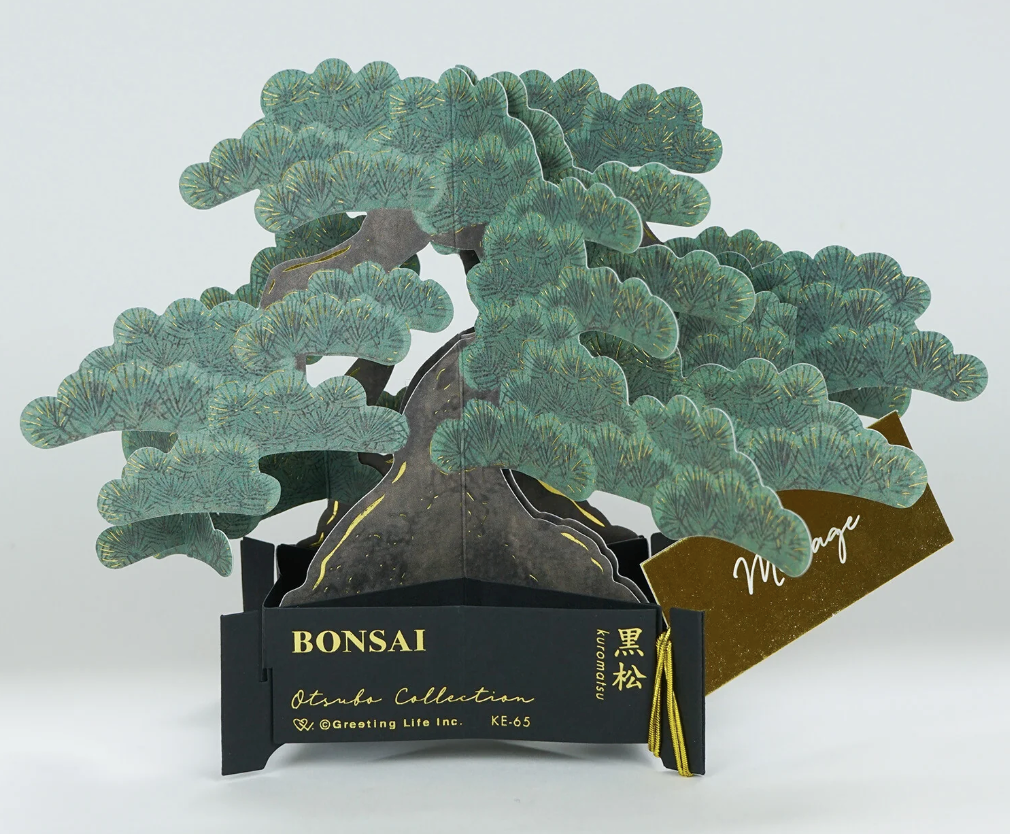 3D Pop-Up Japanese Black Pine Bonsai Greeting Card