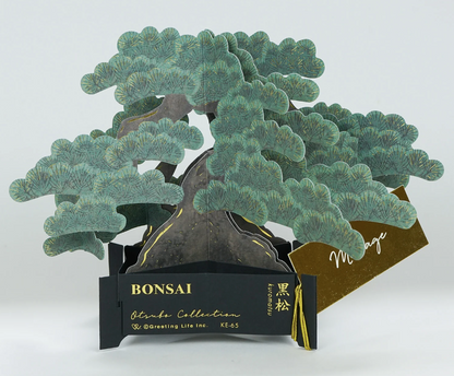 3D Pop-Up Japanese Black Pine Bonsai Greeting Card