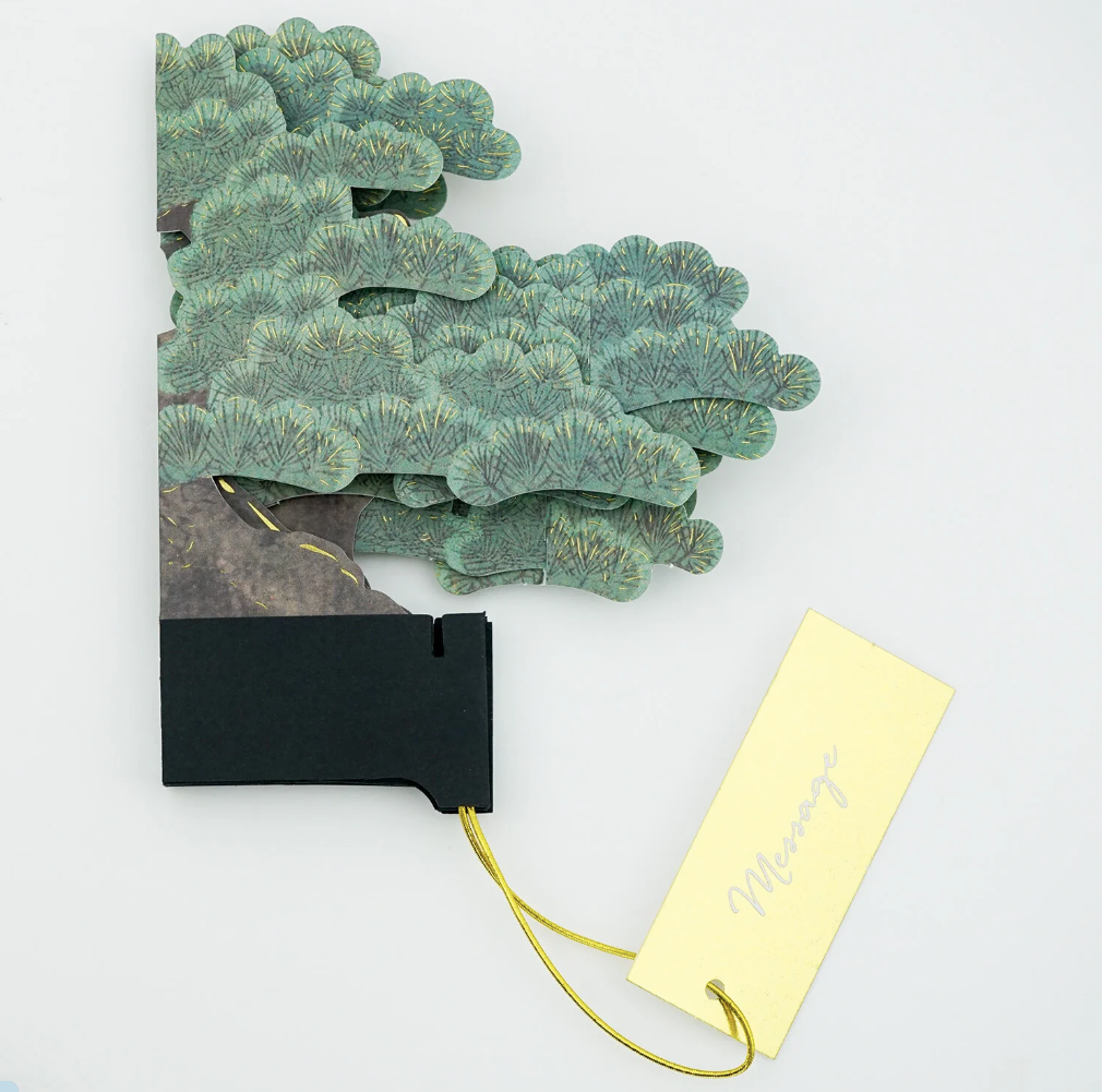 3D Pop-Up Japanese Black Pine Bonsai Greeting Card
