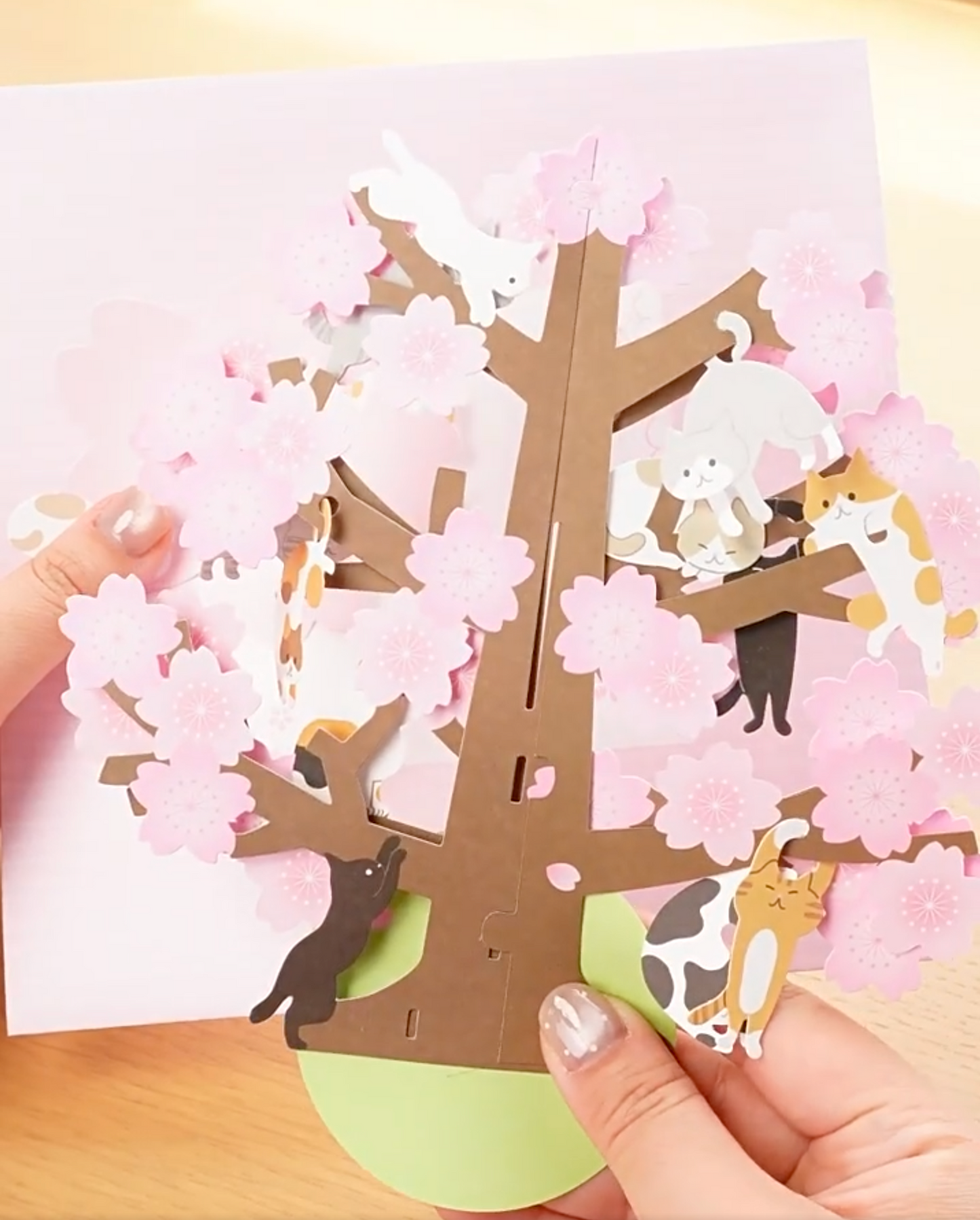 Cat on Cherry Blossom Tree 3D Greeting card