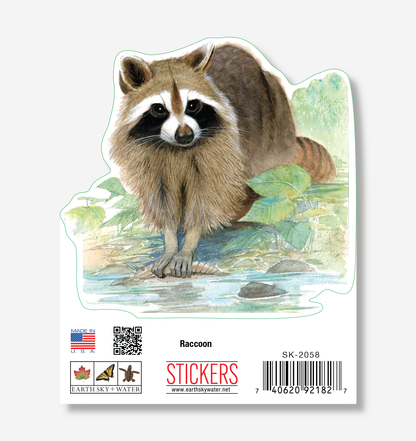 Raccoon  Nature Sticker, 3.5" wide
