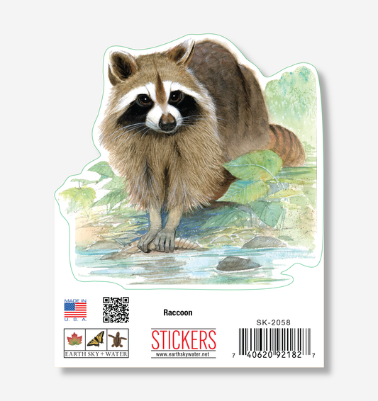 Raccoon  Nature Sticker, 3.5" wide