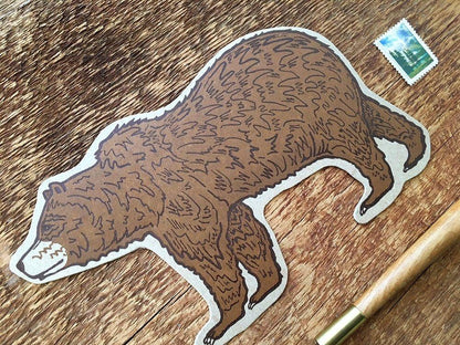 Grizzly Bear Postcard