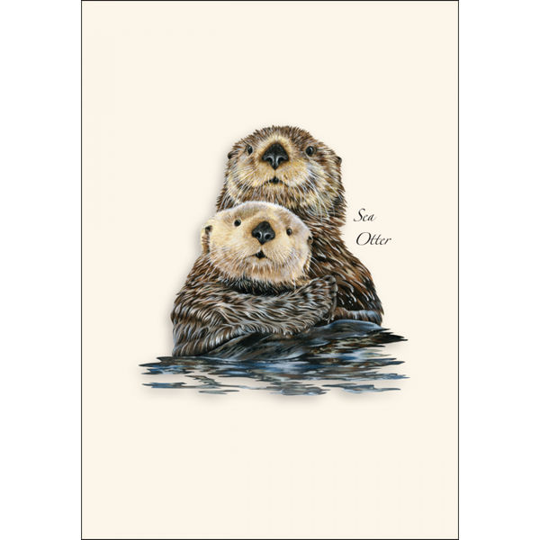 Sea Otter II