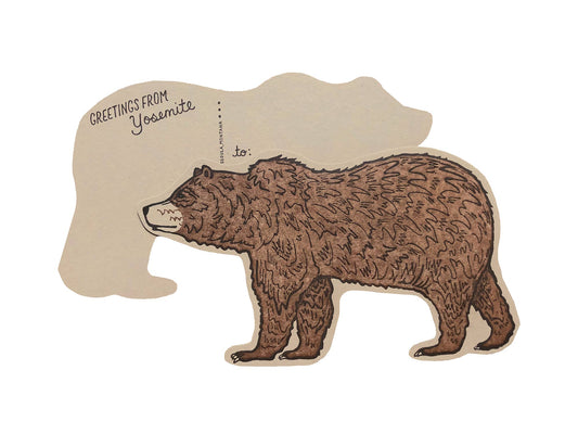 Yosemite Grizzly Bear Postcard
