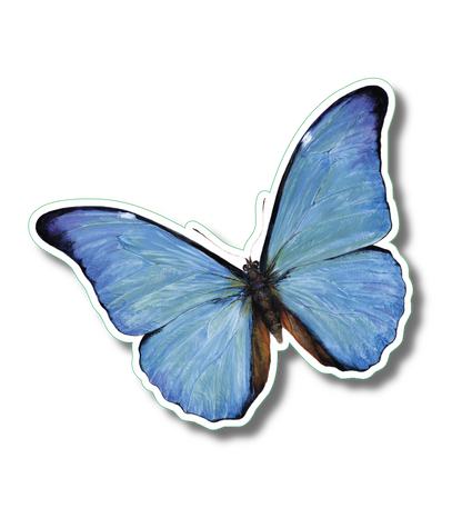 Blue Morpho Nature Sticker, 3.5" wide