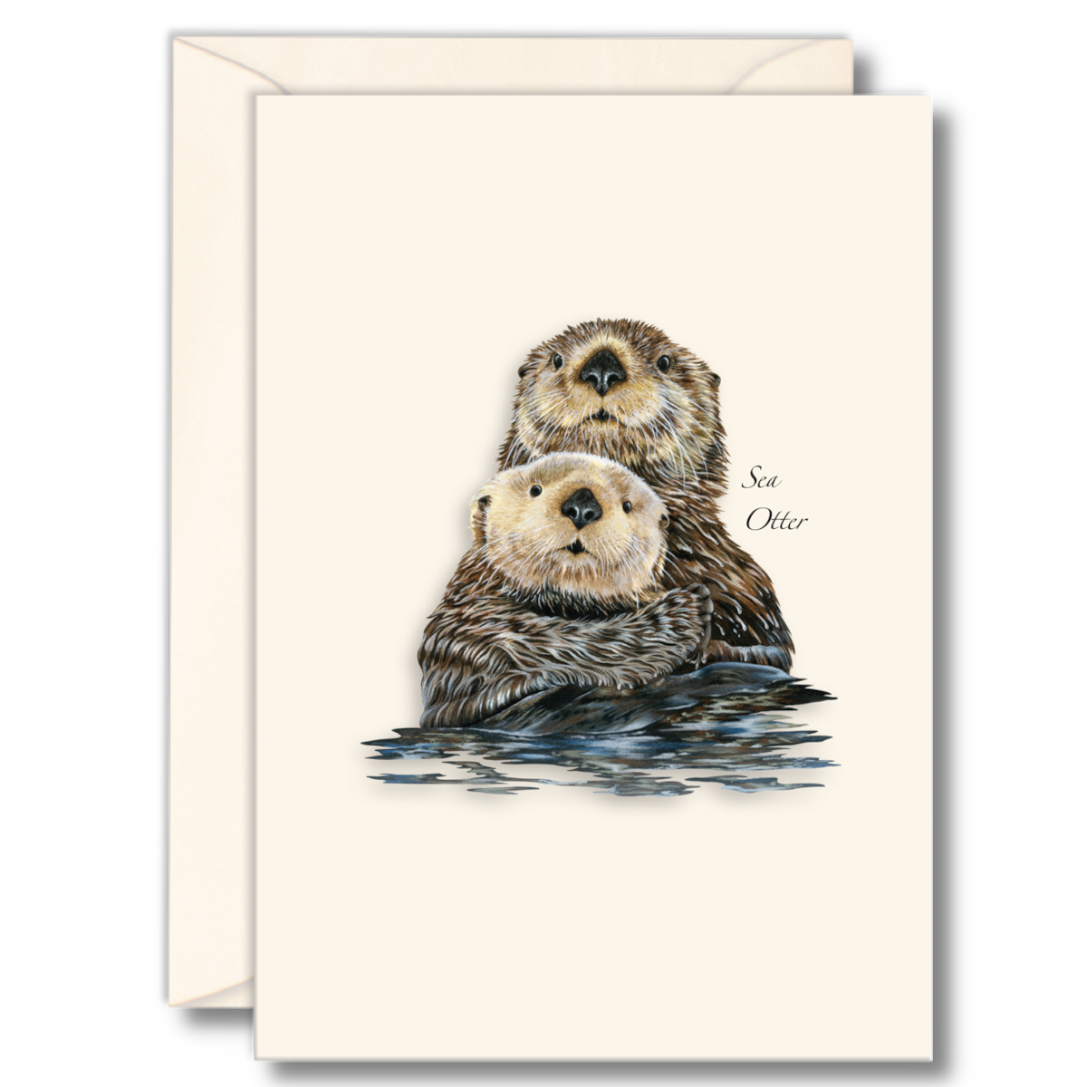 Sea Otter II