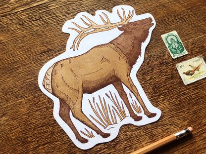 Elk Postcard