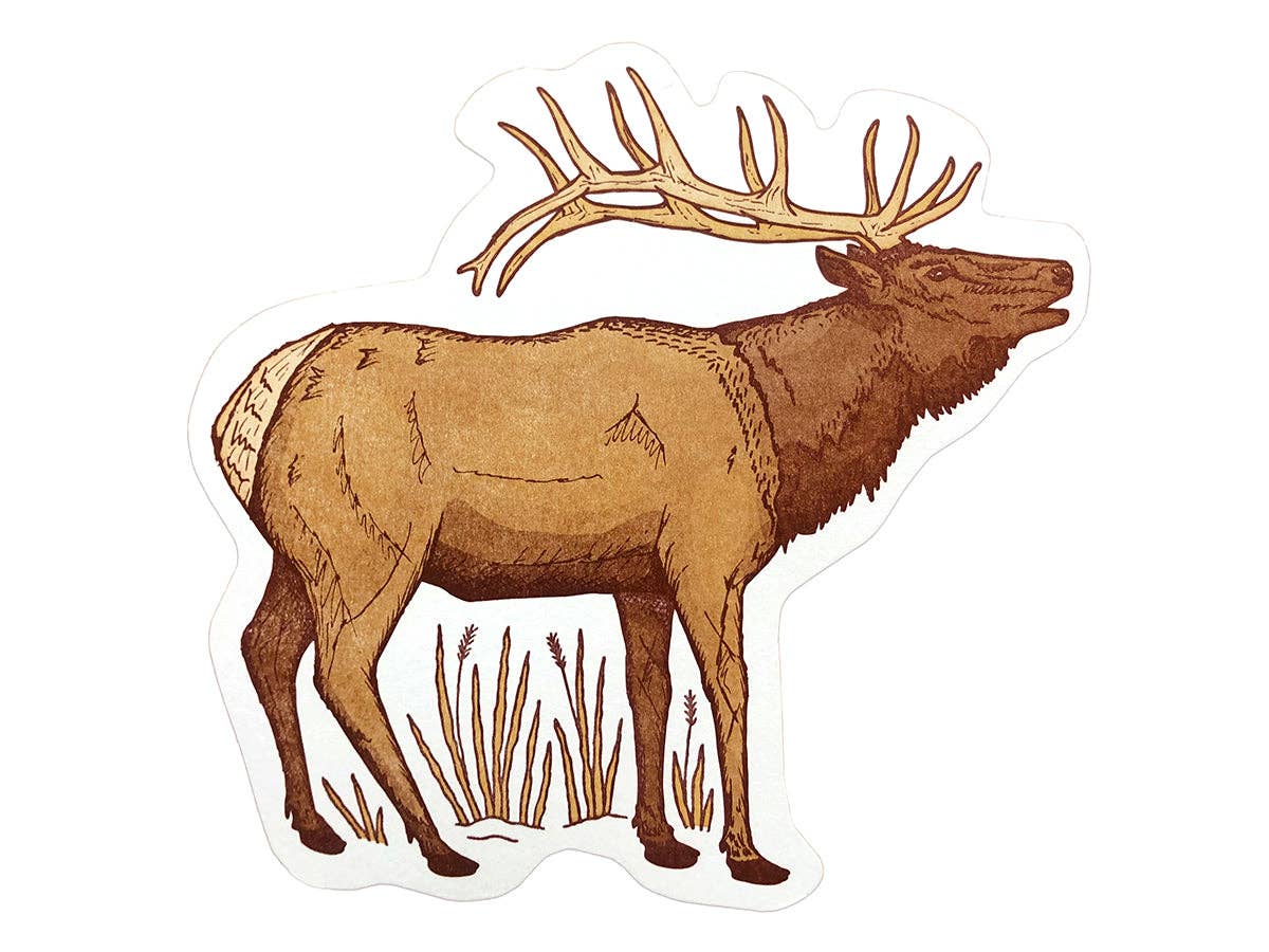 Elk Postcard