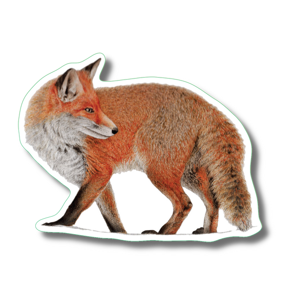 Red Fox Nature Sticker, 3.5" wide