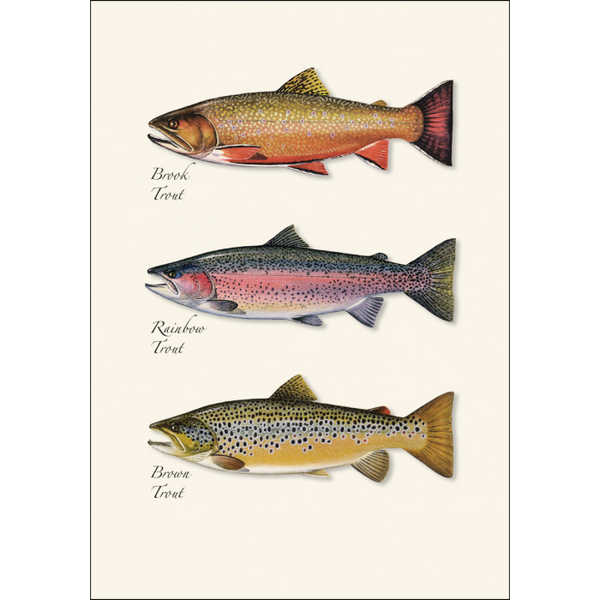 Trout Trio