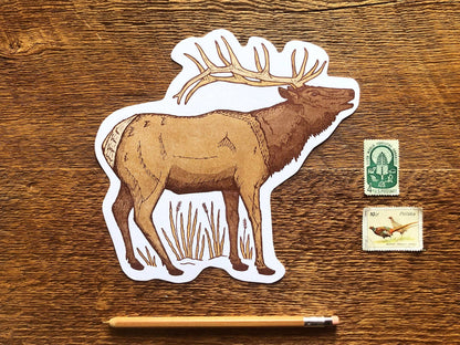 Elk Postcard