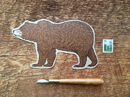 Grizzly Bear Postcard