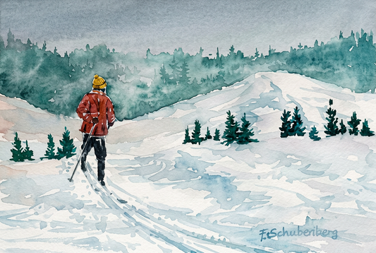Cross country Skier