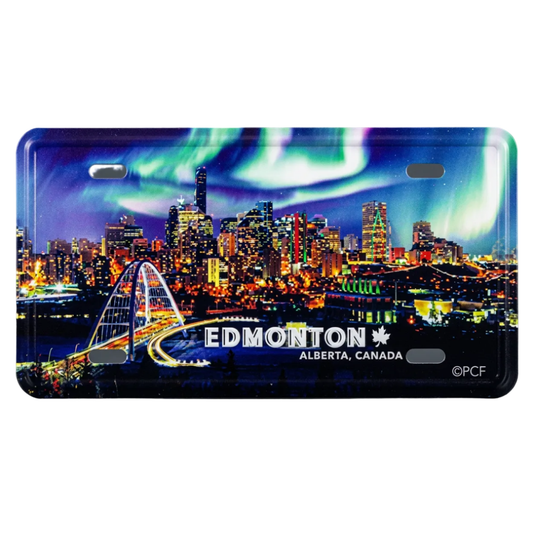Northern Lights magnet Metal License