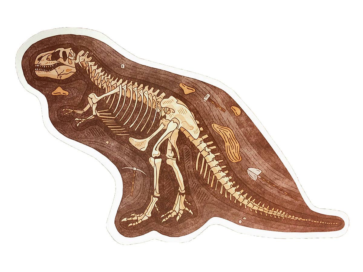 T-Rex Fossils Postcard