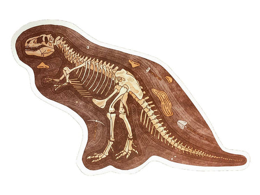 T-Rex Fossils Postcard