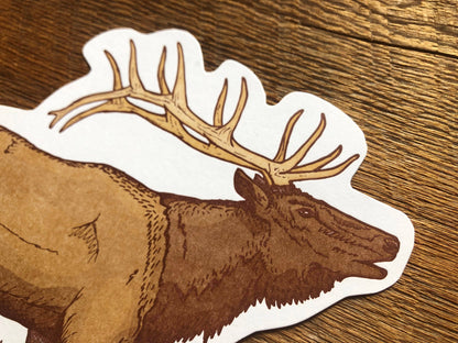 Elk Postcard