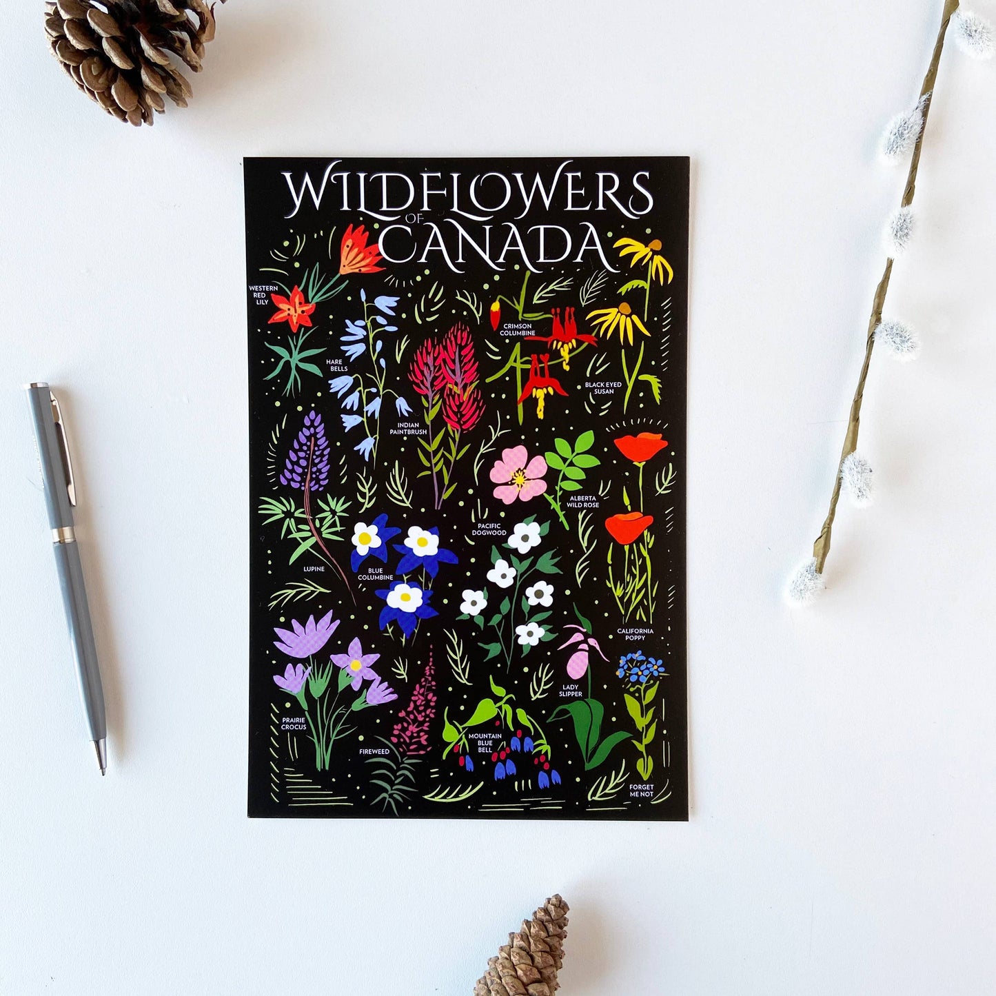Wildflowers Canada 6x9 Postcard