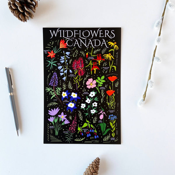 Wildflowers Canada 6x9 Postcard