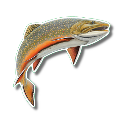 Brook Trout Nature Sticker, 3.5" wide