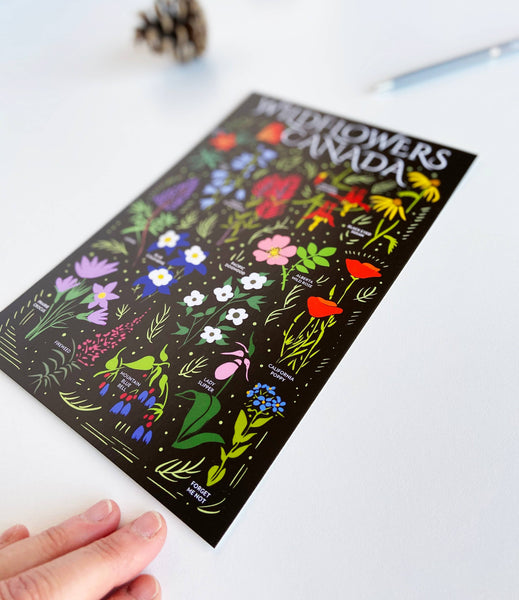 Wildflowers Canada 6x9 Postcard
