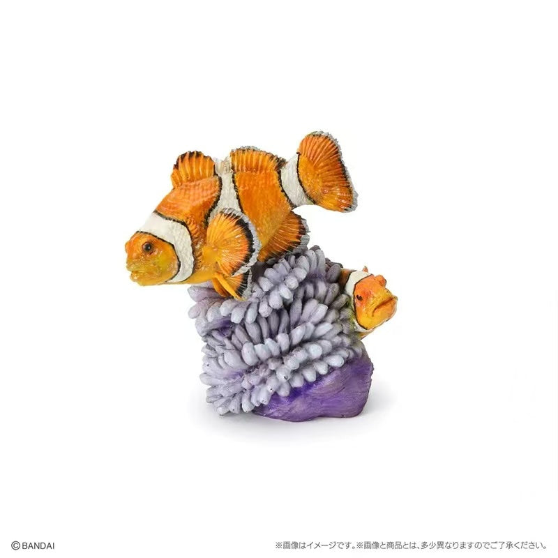 The Diversity of Life on Earth Mini Coral Reef Creature Bandai Set Clownfish