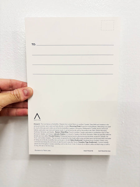 Butterflies of Canada 6x9 Postcard