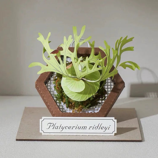 Mini Platycerium Ridleyi Paper Art Display
