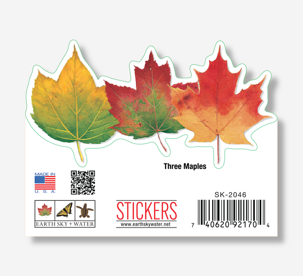 Three Maples Nature Sticker, 3.5" wide