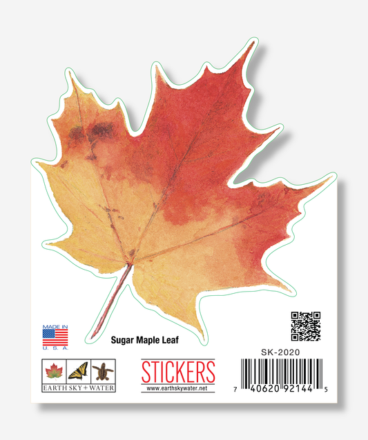 Sugar Maple Leaf Nature Sticker, 3.5" wide