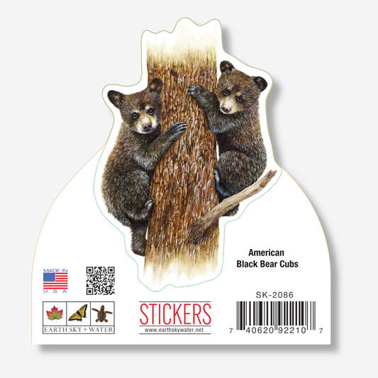 American Black Bear Cubs Nature Sticker, 3.5" wide