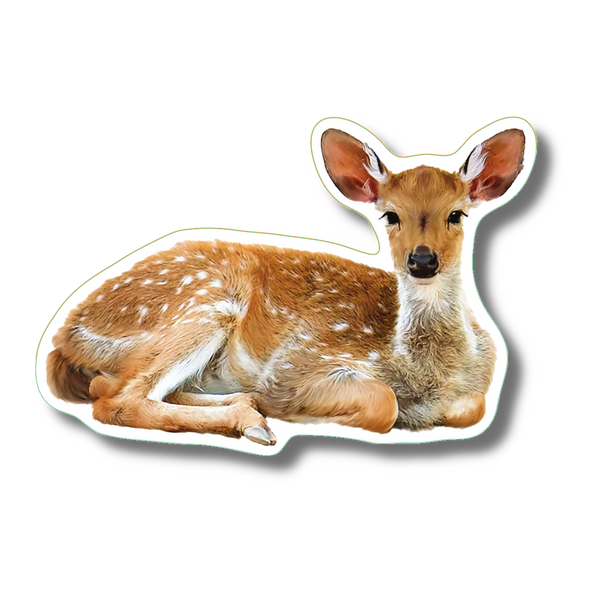 White-tailed Deer Nature Sticker, 3.5" wide